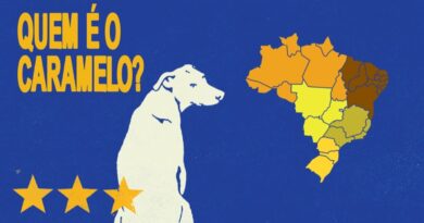 DNA do vira-lata caramelo do Nordeste revela perfil sociável e de convivência, aponta estudo de PEDIGREE®.