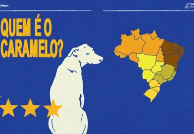DNA do vira-lata caramelo do Nordeste revela perfil sociável e de convivência, aponta estudo de PEDIGREE®.