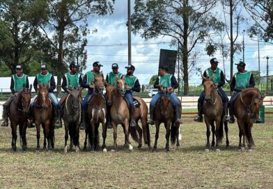 Feira de Santana se transforma no centro da pecuária equestre com a Expo Portal 2026.
