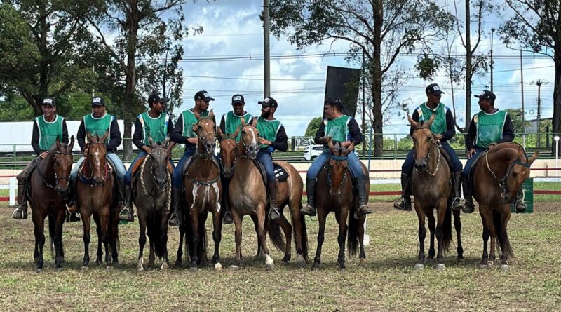 Feira de Santana se transforma no centro da pecuária equestre com a Expo Portal 2026.