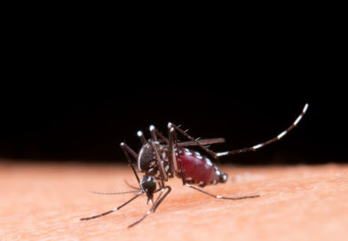 Chikungunya avança na Bahia e pode deixar sequelas articulares duradouras.