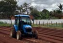 Tratores vocacionados impulsionam mecanização e rentabilidade na horticultura brasileira.