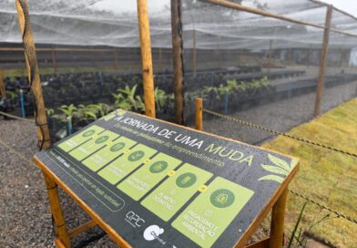 Viveiro com mudas nativas é inaugurado em empreendimento anexo ao futuro CFA Bahia.