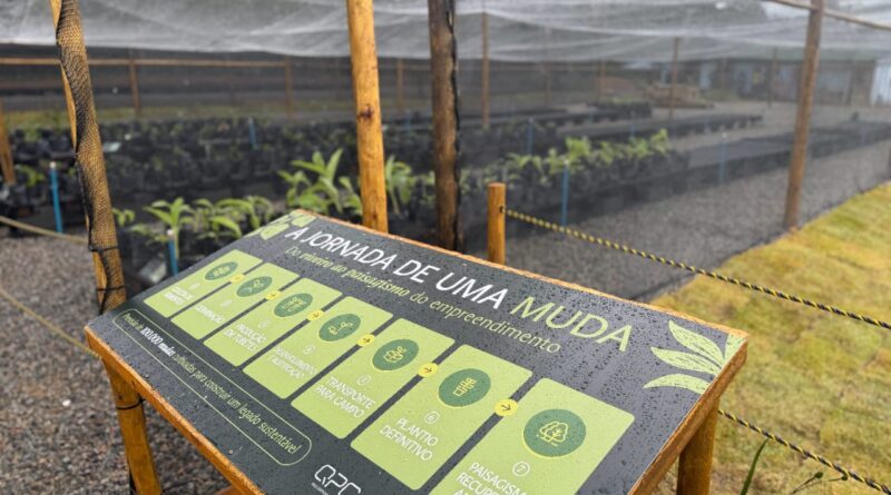 Viveiro com mudas nativas é inaugurado em empreendimento anexo ao futuro CFA Bahia.
