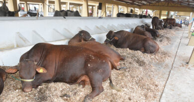 Limpeza diária do Parque de Exposição será feita por 60 agentes durante Expofeira