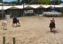 Expofeira se consolida como principal vitrine do Team Penning na Bahia