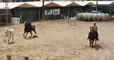 Expofeira se consolida como principal vitrine do Team Penning na Bahia